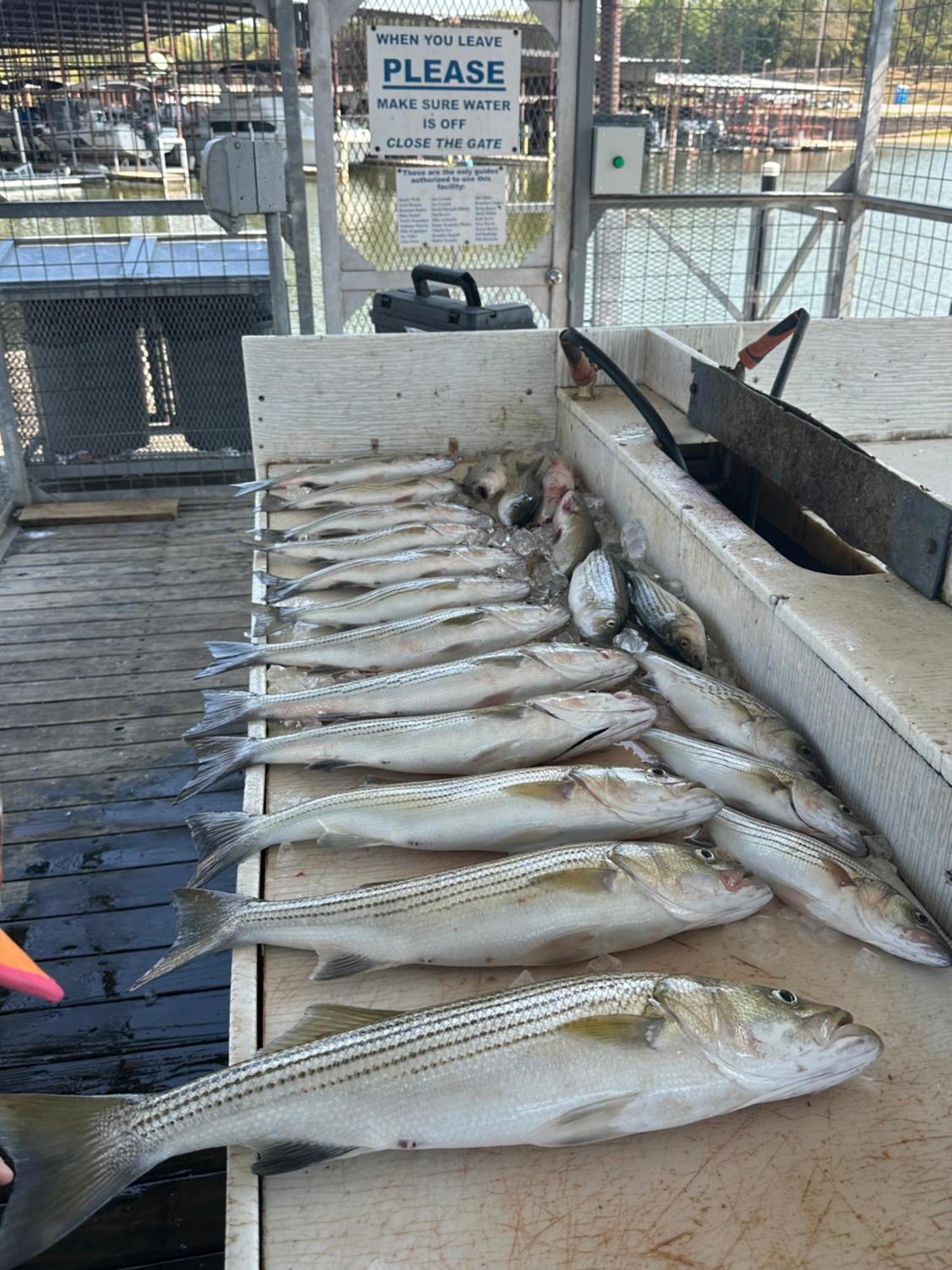 A Shore Thing-Beach-Fishing-Fire Pit-Relax-Pets Kingston Extérieur photo